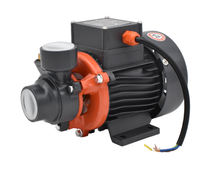 Peripheral Water Pumps