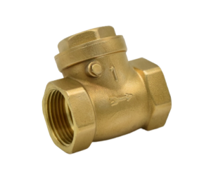 swing check valve