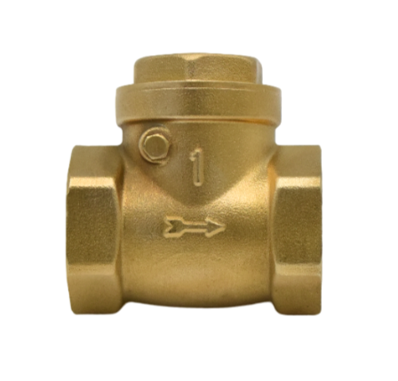 Swing Check Valve