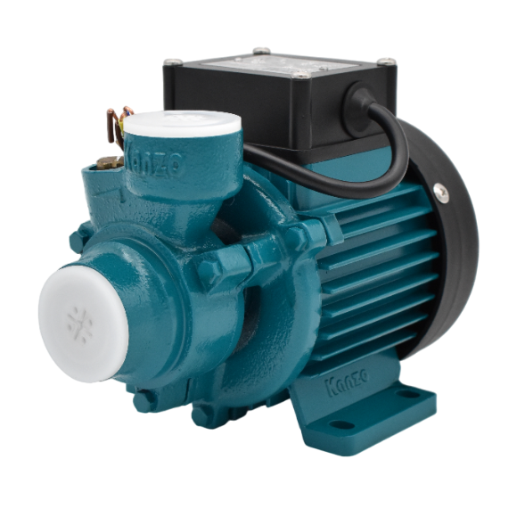 Peripheral Water Pumps