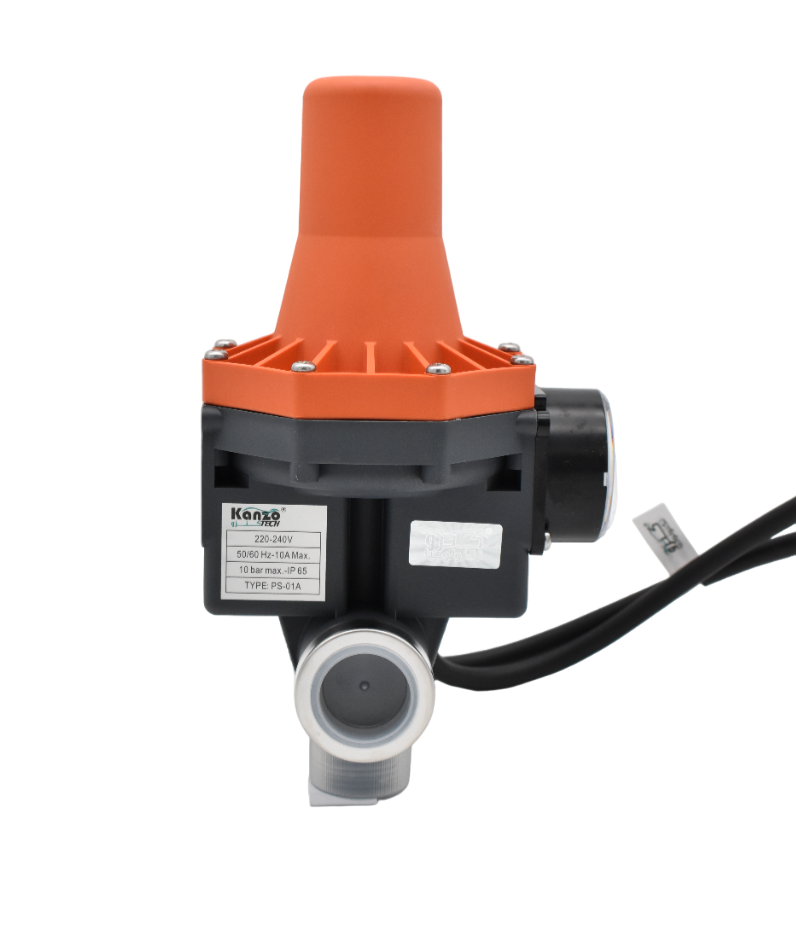 pressure switch on pump