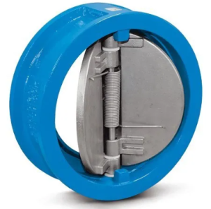 Dual-plate check valves