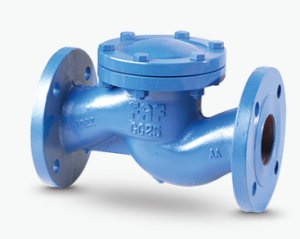 Lift-type check valves