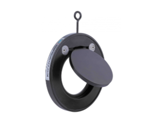 Wafer-style swing check valves