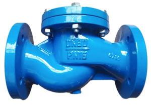 lift check valve